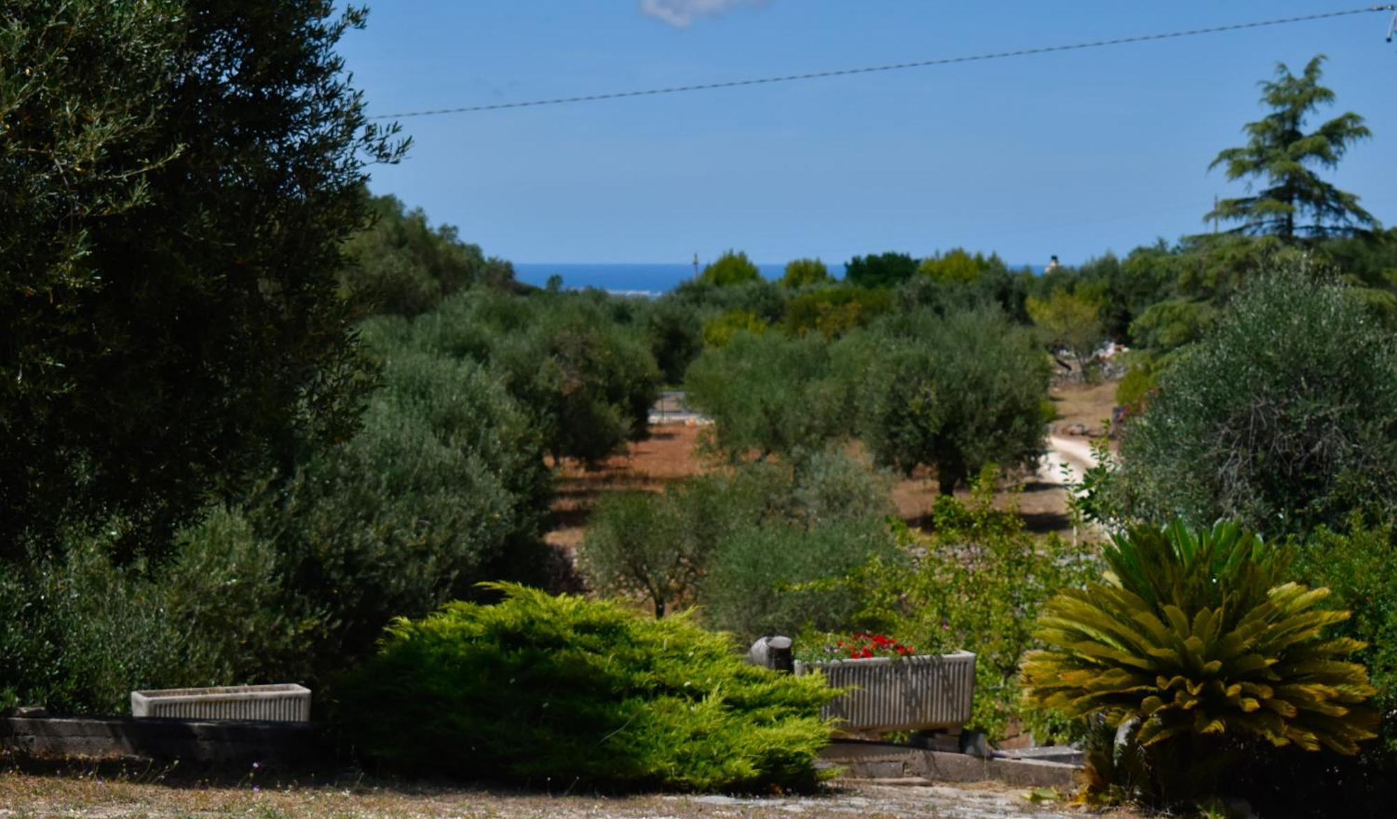 Terre D'Amore - For Couples Otel Ostuni Dış mekan fotoğraf
