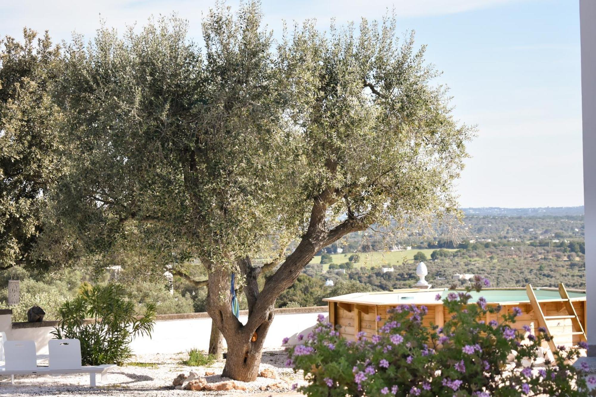 Terre D'Amore - For Couples Otel Ostuni Dış mekan fotoğraf