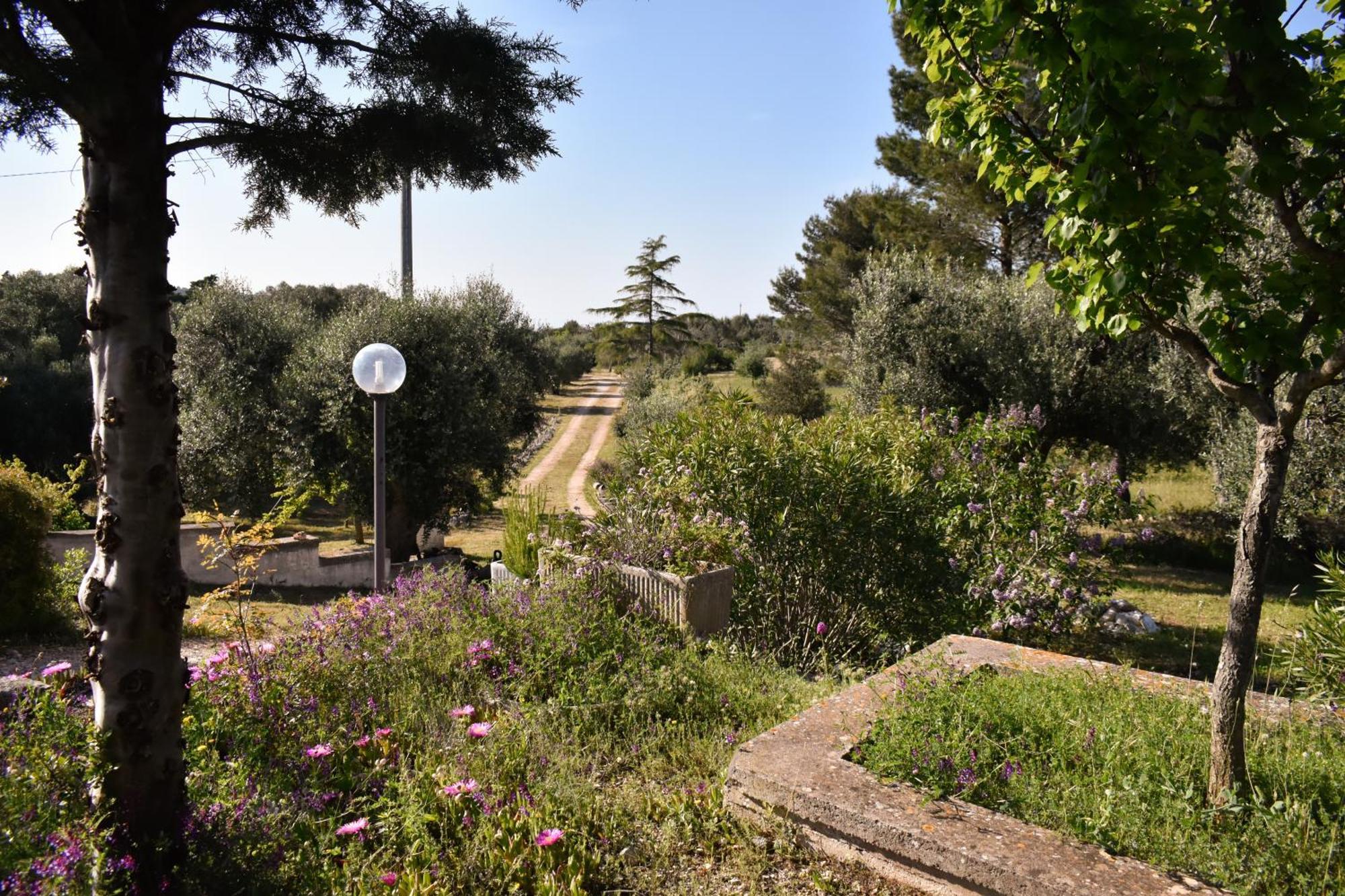 Terre D'Amore - For Couples Otel Ostuni Dış mekan fotoğraf